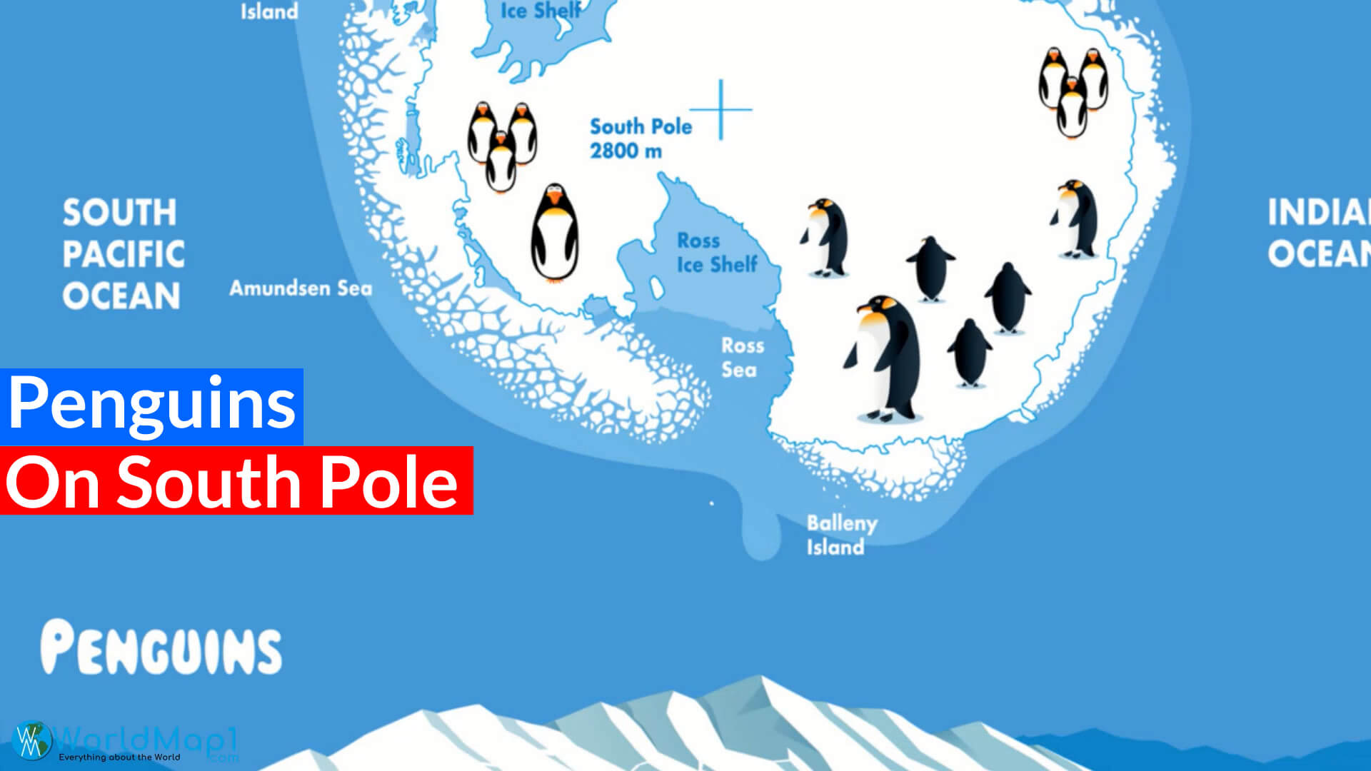 Penguins on South Pole